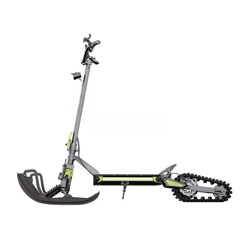 Новое поступление 3-в-1 Eretic – обзор и цена Scooter Electric
